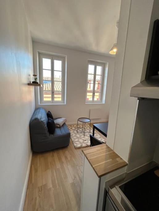 Le Studio Cygne Blanc Hypercentre Rue Riquet Toulouse Exterior photo